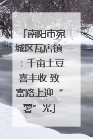 南阳市宛城区瓦店镇：千亩土豆喜丰收 致富路上迎“薯”光