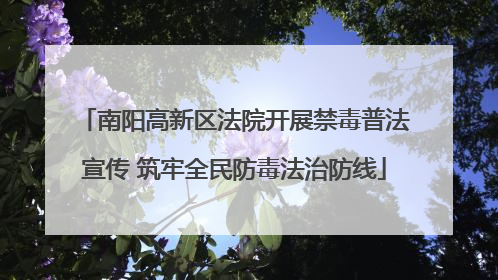 南阳高新区法院开展禁毒普法宣传 筑牢全民防毒法治防线