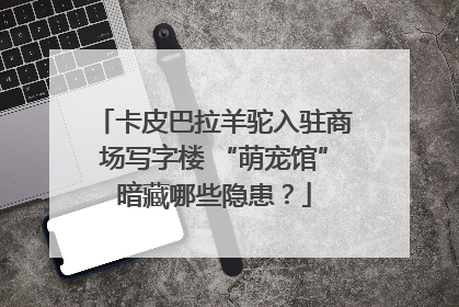 卡皮巴拉羊驼入驻商场写字楼 “萌宠馆”暗藏哪些隐患？