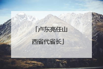 卢东亮任山西省代省长
