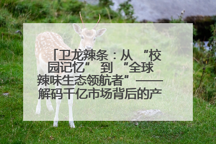 卫龙辣条：从 “校园记忆” 到 “全球辣味生态领航者”——解码千亿市场背后的产品创新与全链路破圈