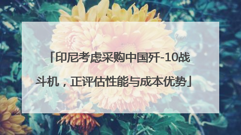 印尼考虑采购中国歼-10战斗机，正评估性能与成本优势