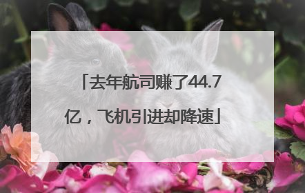 去年航司赚了44.7亿，飞机引进却降速