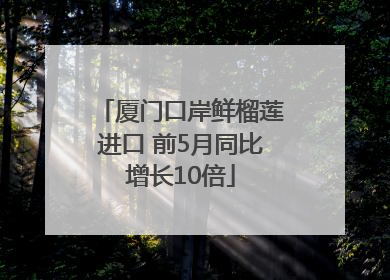 厦门口岸鲜榴莲进口 前5月同比增长10倍