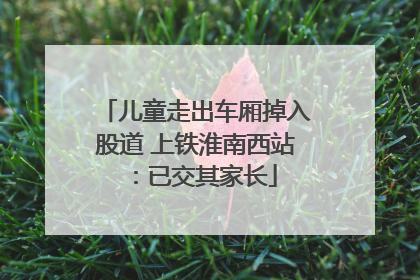 儿童走出车厢掉入股道 上铁淮南西站：已交其家长