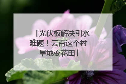光伏板解决引水难题！云南这个村旱地变花田