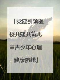 党建引领医校共建共筑儿童青少年心理健康防线