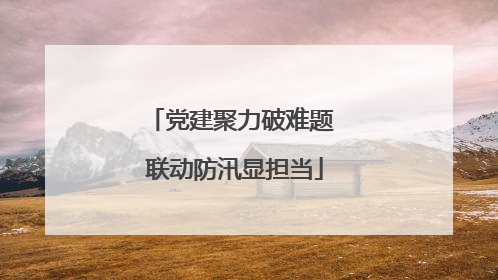 党建聚力破难题 联动防汛显担当