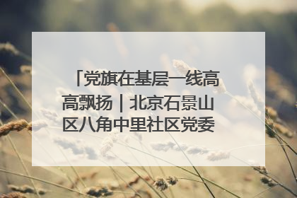 党旗在基层一线高高飘扬｜北京石景山区八角中里社区党委：用脚步丈量民生