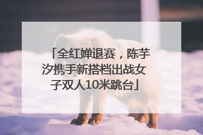 全红婵退赛，陈芋汐携手新搭档出战女子双人10米跳台
