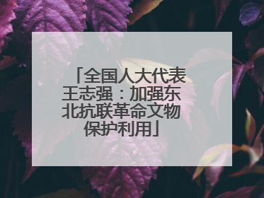 全国人大代表王志强：加强东北抗联革命文物保护利用