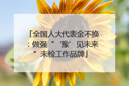 全国人大代表金不换：做强“‘豫’见未来”未检工作品牌