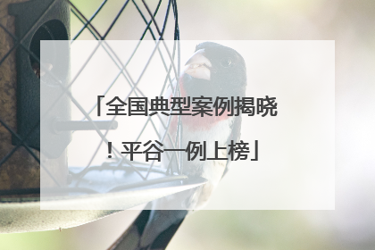 全国典型案例揭晓！平谷一例上榜