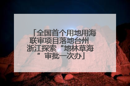 全国首个用地用海联审项目落地台州 浙江探索“地林草海”审批一次办
