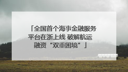 全国首个海事金融服务平台在浙上线 破解航运融资“双重困境”
