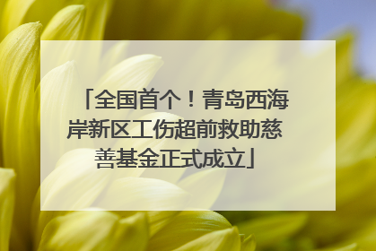 全国首个！青岛西海岸新区工伤超前救助慈善基金正式成立