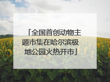 全国首创动物主题市集在哈尔滨极地公园火热开市
