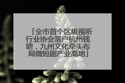 全市首个区级视听行业协会落户杭州钱塘，九州文化牵头布局微短剧产业高地
