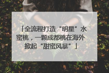 全流程打造“明星”水蜜桃，一颗成都桃在海外掀起“甜蜜风暴”