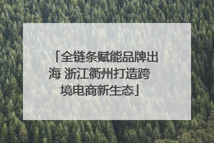 全链条赋能品牌出海 浙江衢州打造跨境电商新生态