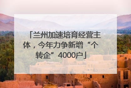 兰州加速培育经营主体，今年力争新增“个转企”4000户