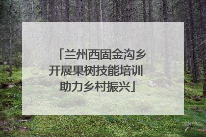 兰州西固金沟乡开展果树技能培训 助力乡村振兴