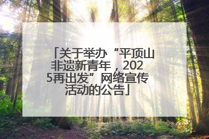 关于举办“平顶山非遗新青年，2025再出发”网络宣传活动的公告