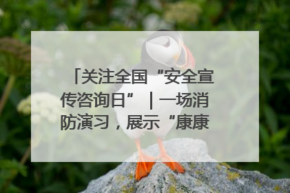 关注全国“安全宣传咨询日”｜一场消防演习，展示“康康”应急实力