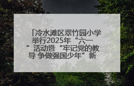 冷水滩区翠竹园小学举行2025年“六一”活动暨“牢记党的教导 争做强国少年”新队员入队仪式