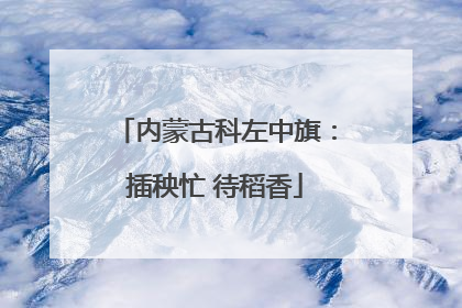 内蒙古科左中旗：插秧忙 待稻香