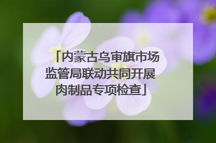 内蒙古乌审旗市场监管局联动共同开展肉制品专项检查
