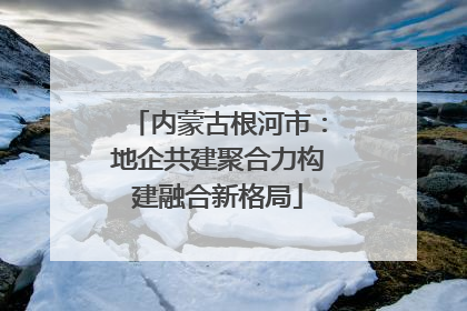 内蒙古根河市：地企共建聚合力构建融合新格局