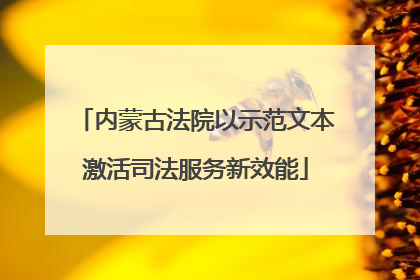 内蒙古法院以示范文本激活司法服务新效能