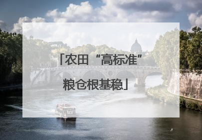 农田“高标准” 粮仓根基稳