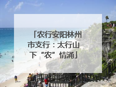 农行安阳林州市支行：太行山下“农”情涌