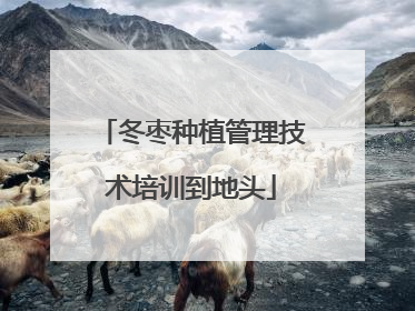 冬枣种植管理技术培训到地头