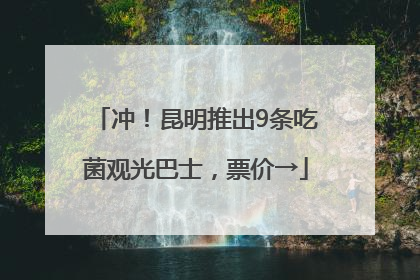 冲！昆明推出9条吃菌观光巴士，票价→