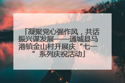 凝聚党心强作风，共话振兴谋发展——通城县马港镇金山村开展庆“七一”系列庆祝活动