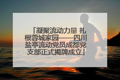 凝聚流动力量 扎根蓉城家园——四川盐亭流动党员成都党支部正式揭牌成立