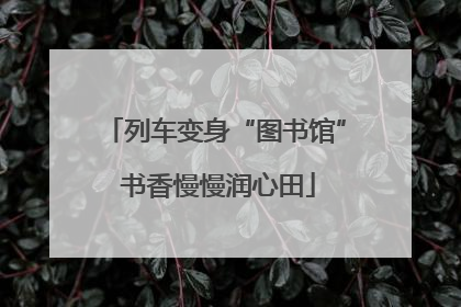 列车变身“图书馆” 书香慢慢润心田