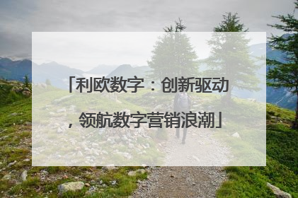 利欧数字：创新驱动，领航数字营销浪潮