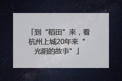 到“稻田”来，看杭州上城20年来“光阴的故事”