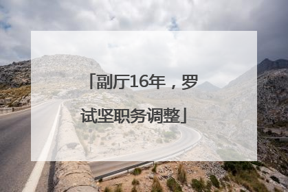 副厅16年，罗试坚职务调整