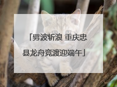 劈波斩浪 重庆忠县龙舟竞渡迎端午