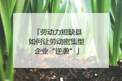 劳动力短缺县 如何让劳动密集型企业“逆袭”
