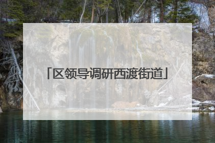 区领导调研西渡街道