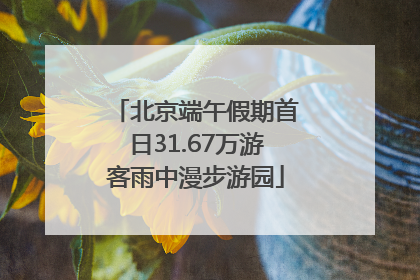 北京端午假期首日31.67万游客雨中漫步游园