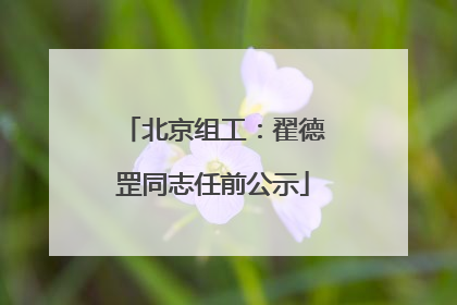 北京组工：翟德罡同志任前公示