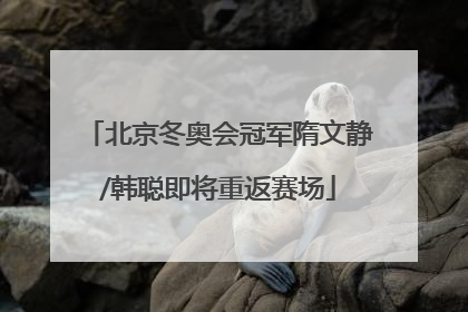 北京冬奥会冠军隋文静/韩聪即将重返赛场