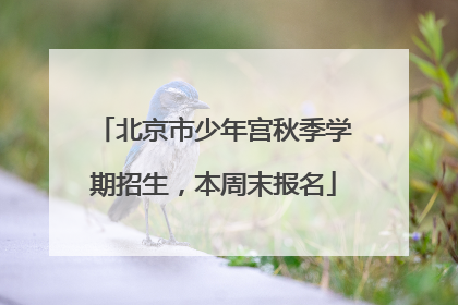 北京市少年宫秋季学期招生，本周末报名